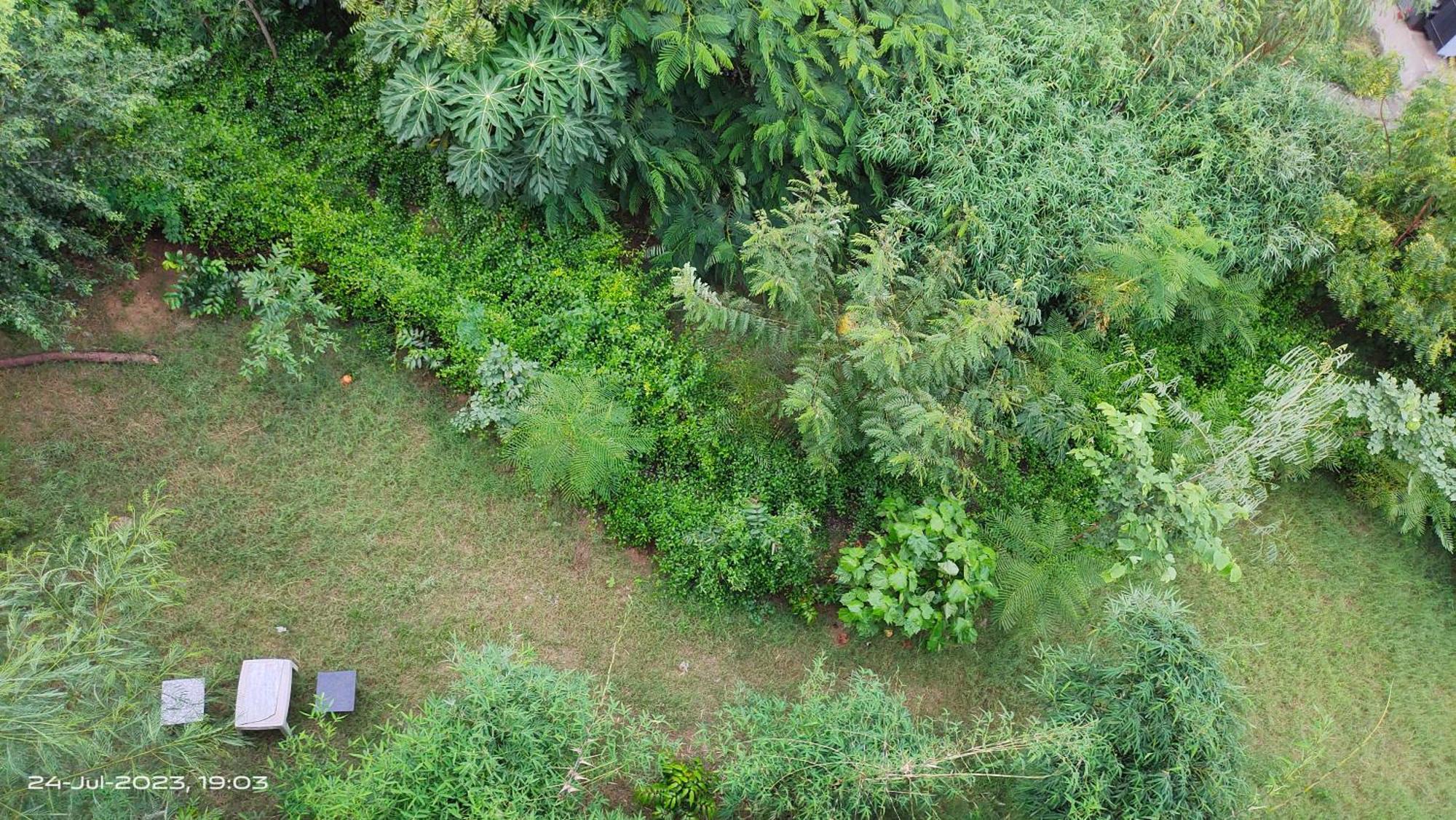 Osho Villa Guest House Divisione di Divisione di Jaipur Esterno foto
